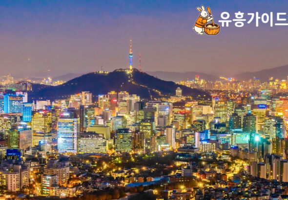 Image of Seoul City for the Nightlife experience